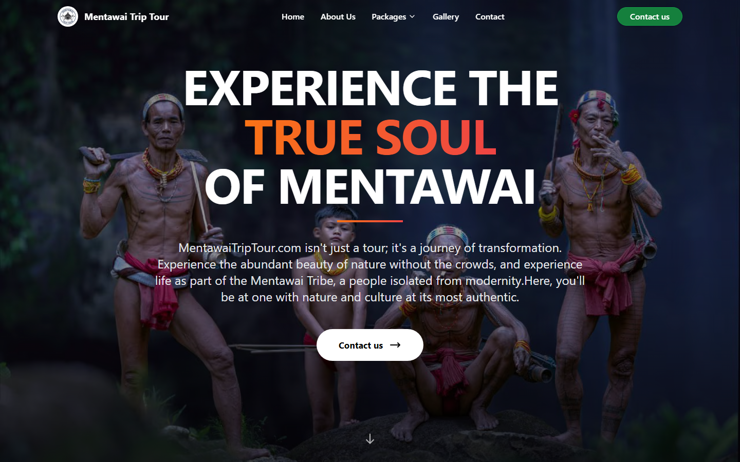 Screenshot website mentawaitriptour.com